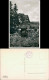Postcard Schreiberhau Szklarska Poręba Zackelfallbaude 1931  - Schlesien