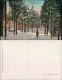 Ansichtskarte Feldberg (Schwarzwald) Winter-Idylle - Skifahrer Im Wald 1914 - Feldberg