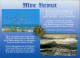 Ansichtskarte Zingst Spruchkarte: Mine Heimat, Meer, Strand Mit Möwen 1997 - Zingst