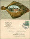 Wilhelmshaven Fisch-Litho: Kaiserl. Deckoffizier Schule 1910 Prägekarte - Wilhelmshaven