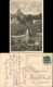 Ansichtskarte Pirna Friedenspark 1913 - Pirna