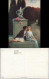 Ansichtskarte  Kroy: Liebesglück Lásky štěstí Künstlerkarte 1910 - Couples