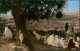 Fès Fas ⴼⴰⵙ فاس Vue Sur La Médina Prise De Bab-Ftouh/Native Scene 1960 - Fez (Fès)