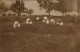 Fotokunst Fotomontage Rast Pause Arbeiter I.d. Landwirtschaft 1920 Privatfoto - Farmers