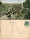 Ansichtskarte Altenau-Clausthal-Zellerfeld Viehauftrieb - Stadt 1909 - Altenau