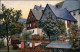 Ansichtskarte Altenberg (Erzgebirge) Stadt, Stimmungsbild 1909 - Altenberg