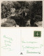 Postkaart Giethoorn-Steenwijkerland Giethoorn Mooi Giethoorn 1960 - Other & Unclassified