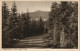 Ansichtskarte Braunlage Achtermann, Harz Panorama-Ansicht 1925 - Braunlage