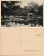 Ansichtskarte Bad Nenndorf Brücke - Erlengrund 1925 - Bad Nenndorf
