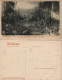 Ansichtskarte Darmstadt GARTENBAU-AUSSTELLUNG - Kakteenlandschaft 1905 - Darmstadt
