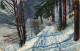 Winter-Ansichtskarten (Schnee/Eis) / Stimmungsbild Photochromie 1915 - Non Classés