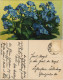 Ansichtskarte  Botanik :: Blumen Photochromioe Feilchen 1911 - Altri & Non Classificati