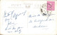 Postcard Killarney COLLEEN BAWN ROCK 1904 - Autres & Non Classés