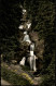 Ansichtskarte Triberg Im Schwarzwald Kaskaden-Wasserfall, Colorfotokarte 1963 - Triberg