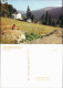 Kipsdorf-Altenberg (Erzgebirge) Panorama-Ansicht, Tellkoppe 1985/1990 - Kipsdorf
