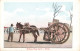 MALTA - MALTESE MULE CART - Malta