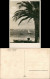 Lissabon Panorama Von Lisboa Ao Tejo Palme Strand Segelboote 1940 - Sonstige & Ohne Zuordnung