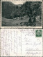 Ansichtskarte Hohegeiß-Braunlage Hundertmorgen Wiese - Tiere 1940 - Braunlage