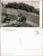 Ansichtskarte Todtmoos Hotel Weidberghaus 1963 - Todtmoos