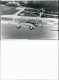 Dresden Vogelschau Blick Auf Elbe Wasserflugzeuge Walter Hahn REPRO 1938 REPRO - Dresden