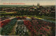 Ansichtskarte Quedlinburg Blumenbeete - Stadt 1918 - Other & Unclassified