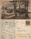 Ansichtskarte  Stimmungsbilder: Natur Federzeichnung 1921 - Zonder Classificatie