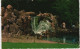 Postkaart Arnheim Arnhem Waterval Sonsbeek, Wasserfall, Waterfall 1964 - Sonstige & Ohne Zuordnung