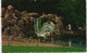 Postkaart Arnheim Arnhem Waterval Sonsbeek, Wasserfall, Waterfall 1964 - Autres & Non Classés