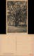 Ansichtskarte Stubbenkammer-Sassnitz Hertha-Buche 1928 - Sassnitz
