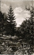 Ansichtskarte Braunlage Kurpark Park Anlage 1964 - Braunlage