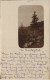 Ansichtskarte Freudenstadt Waldpartie 1909 - Freudenstadt