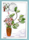 Carte Maximum Monaco 1986 - Concours International De Bouquets 1986 - Ikebana : Lilium Et Branche De Hêtre - Cartes-Maximum (CM)