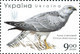 Delcampe - Ukraine 2020 MiNr. 1902 - 1909 (Block 170)  Native Birds Of Prey Eagles  M\sh  MNH ** 7,50 € - Ukraine