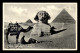 EGYPTE - LENHERT & LANDROCK N°162 - CAIRO - PRAYER NEAR THE GREAT SPHINX - CHAMEAUX - Kairo