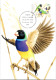 5-5-2024 (4 Z 11) Australia (1 Card) Maxicard - Endangered Birds - Gouldian Finch - Cartoline Maximum