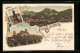 Lithographie Eisenach, Ortsansicht, Wartburg Und Lutherdenkmal  - Eisenach