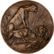 France, Médaille, Animaux, Le Guépard, 1982, Bronze, Boyer, SUP+ - Other & Unclassified