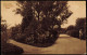 Postcard Lund Botaniska Trädgården 1922 - Zweden