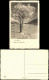 Ansichtskarte  Neujahr Sylvester New Year Grusskarte Stimmungsbild Natur 1950 - Neujahr