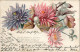 Ansichtskarte  Botanik :: Blumen - Künstlerkarte 1900 - Autres & Non Classés
