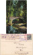 Ansichtskarte  Steinbrücke Im Wald Stimmungsbild: Natur 1916 - Unclassified