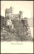 Ansichtskarte Bingen Am Rhein Burg / Schloss Rheinstein 1907 - Bingen