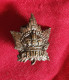 Insigne De Col  Du Canada , Du Service Général - 1914-18
