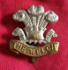 Insigne De Casquette Du Welch Regiment WW2 Welch Regiment (Gallois) - 1939-45
