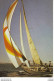 Sport Voile Course Voilier N°203 1 Grafiche Biondetti Verona VOIR DOS - Sailing