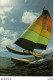 Sport Voile Course Voilier Catamaran N°203 2 Grafiche Biondetti Verona VOIR DOS - Sailing