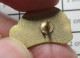 1818A Pin's Pins / Beau Et Rare / MARQUES / CaSQUE DE CHANTIER SATREL - Trademarks