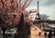 75-PARIS LA TOUR EIFFEL-N°T1074-A/0375 - Eiffeltoren
