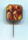 ABBA - Sweden Pop Group Music, Vintage Pin Badge Abzeichen - Musica