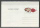 FINLAND 1981 Postal Letter, Unused - Finnland